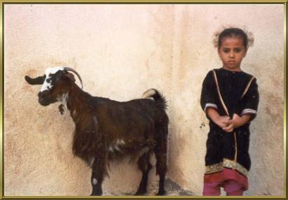 Ein kleines Mädchen hütet die Ziege in dem Ort Quriat