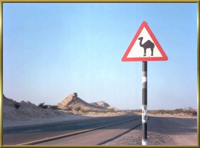 Achtung Kamele! - Verkehrsschild in den Vereinigten Arabischen Emiraten